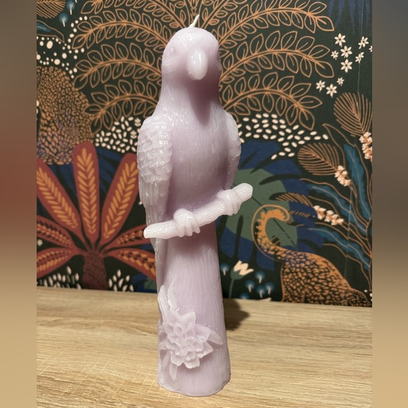 NWT | Anthro Vera Parrot Shaped Wax Candle - Picture 5 of 12